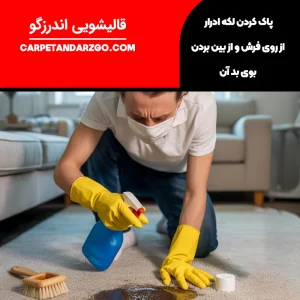 پاک کردن لکه ادرار از روی فرش