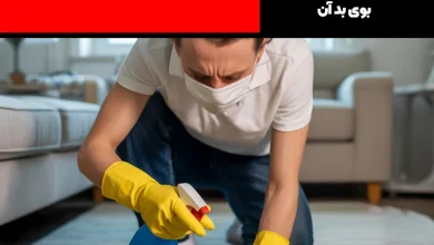 پاک کردن لکه ادرار از روی فرش