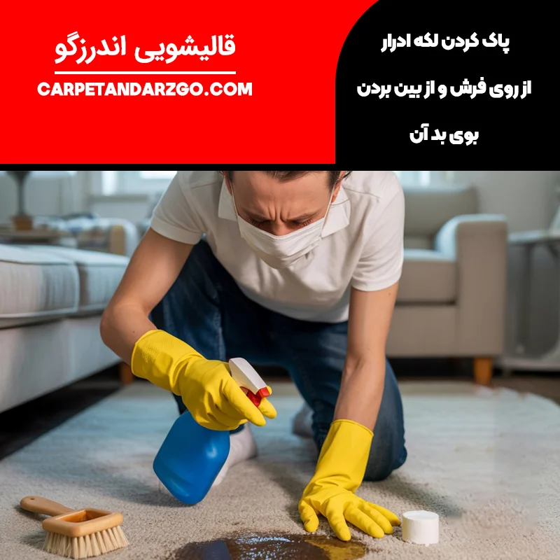 پاک کردن لکه ادرار از روی فرش